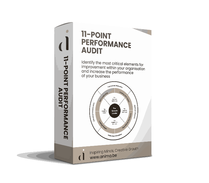 11-Point Performance Audit